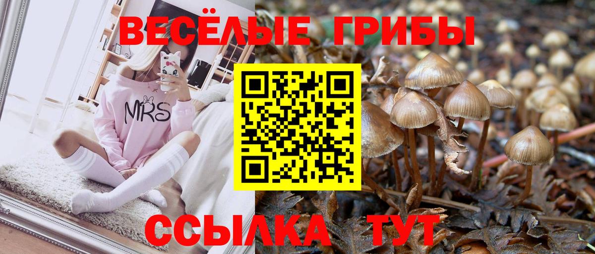 Галлюциногенные грибы Cubensis  Вход с VPN  Надым 