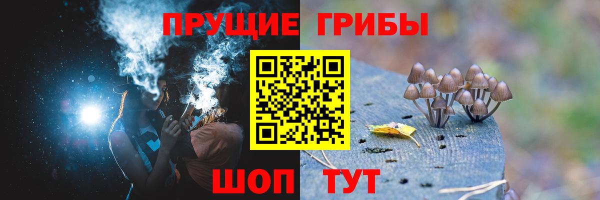 Псилоцибиновые грибы мицелий Надым